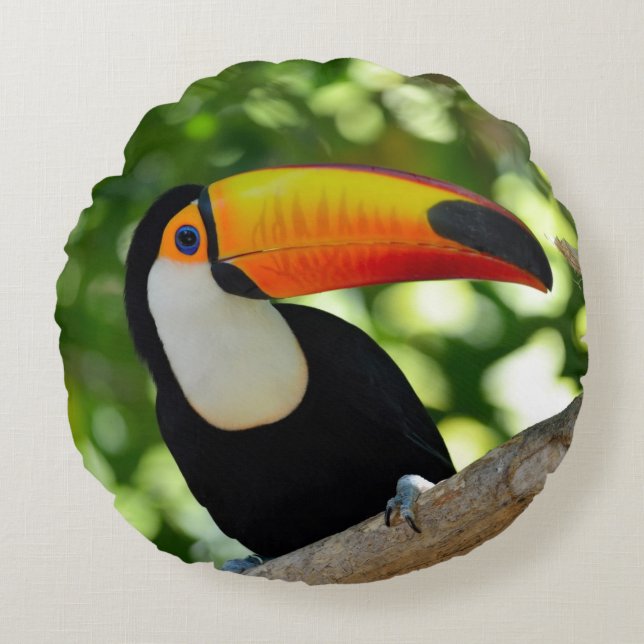 Toucan Round Cushion (Front)