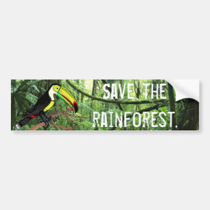 Toucan Save the Rainforest Bumper Sticker