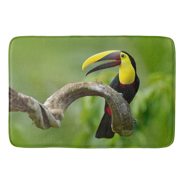 Toucan sitting on the branch in the forest bath mat (Front)