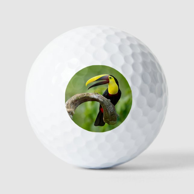 Toucan sitting on the branch in the forest golf balls (Front)