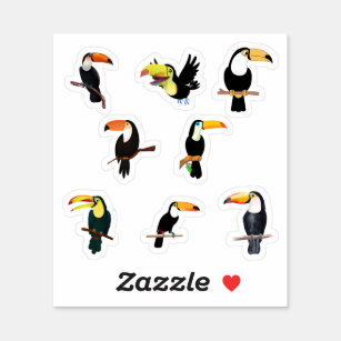 Toucan Stickers
