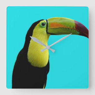 Toucan tropical animal modern photo square wall clock