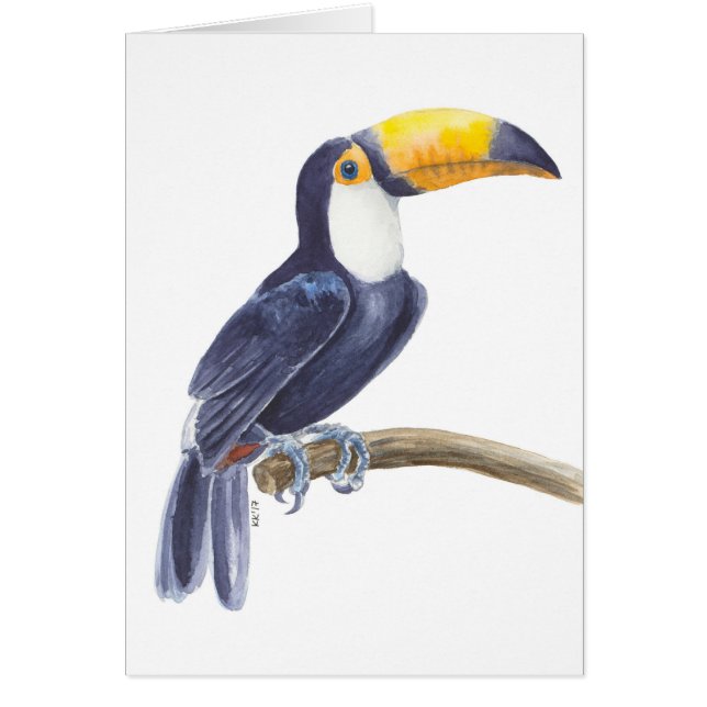 Toucan, tropical bird (Front)