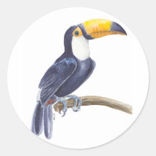 Toucan, tropical bird classic round sticker