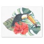 Toucan Tropical Bird