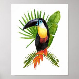 Toucan tropical bird watercolor Poster