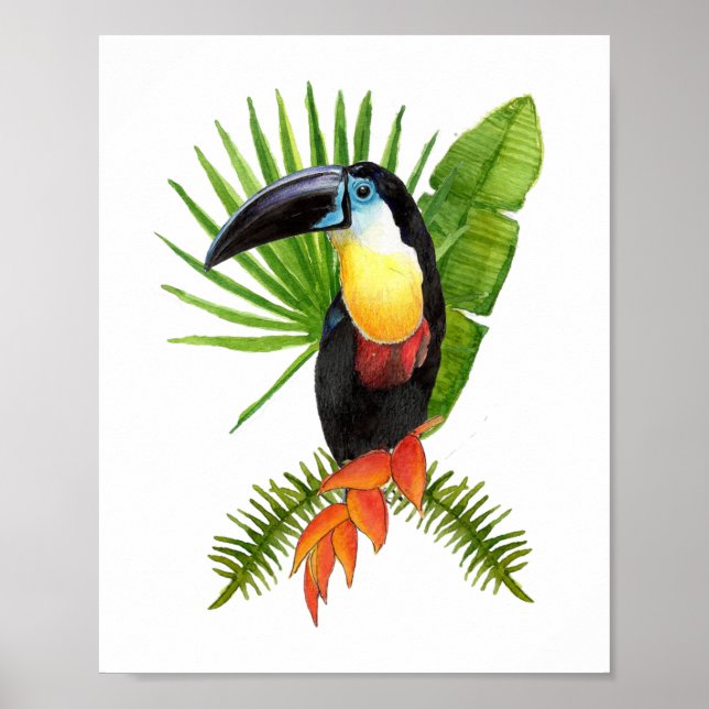 Toucan tropical bird watercolor Poster (Front)