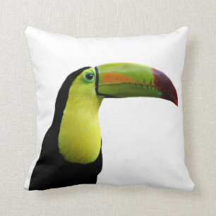 Toucan tropical exotic photo animal cushion