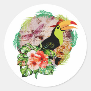 Toucan's Magic - Tropical Bird Witchcraft Classic Round Sticker