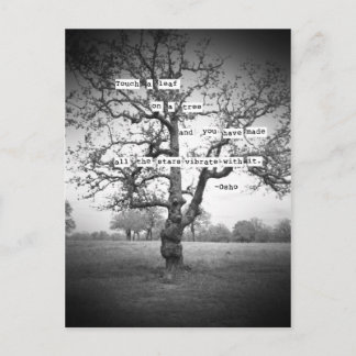 Touch a leaf... postcard