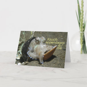 touch appendages card