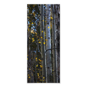 touch of gold photo print