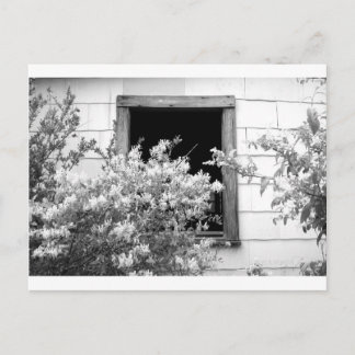 TOUCH OF GREY POSTCARD