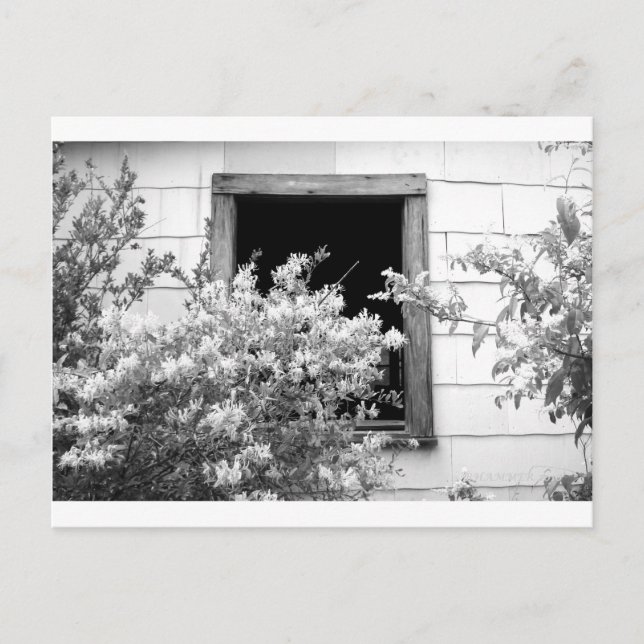 TOUCH OF GREY POSTCARD (Front)