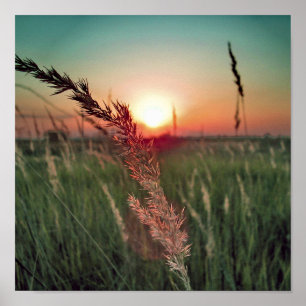 Touch of Magic  Dust From Oz 16 Poster