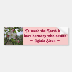touch the Earth bumper sticker