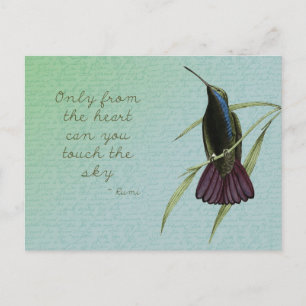 Touch the Sky Hummingbird Postcard