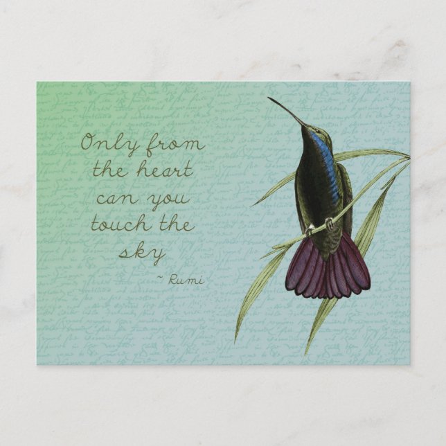 Touch the Sky Hummingbird Postcard (Front)