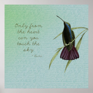 Touch the Sky Hummingbird Poster