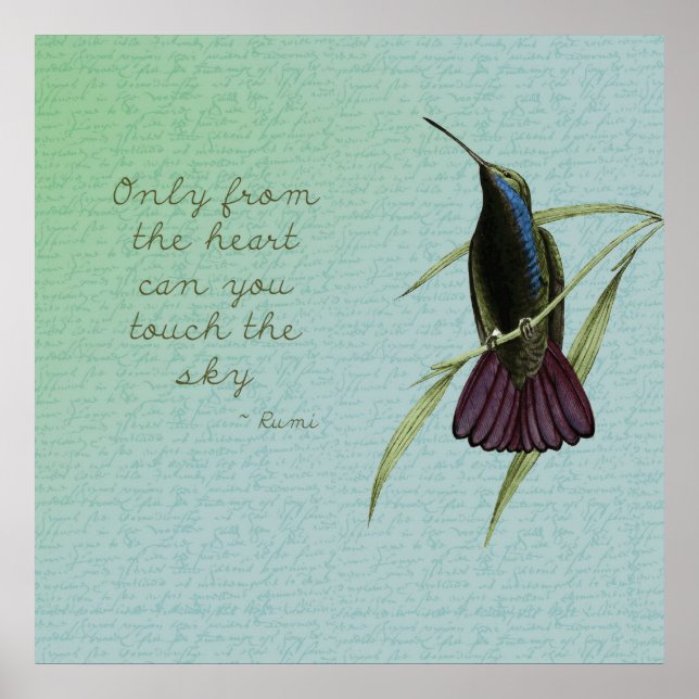 Touch the Sky Hummingbird Poster (Front)