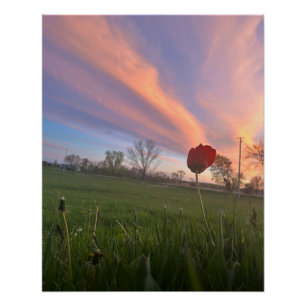 Touch The Sky Poster