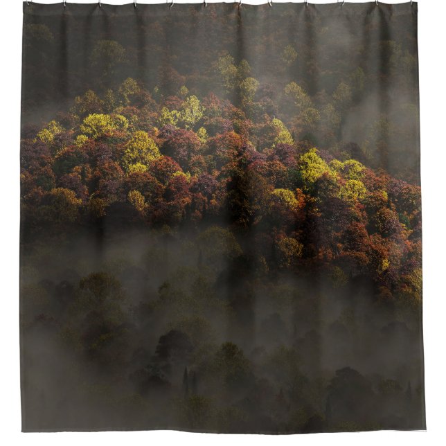 Touched by the Sun Shower Curtain (Front)