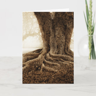 Touching_Earth_MW1104 Card