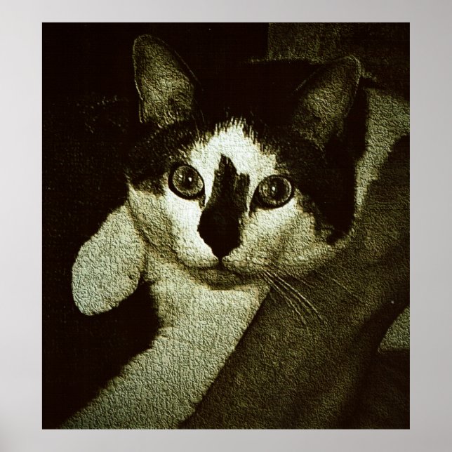 Tough Bud. Poster (Front)