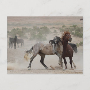 Tough Love Postcard