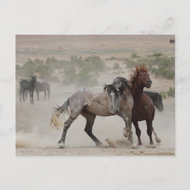 Tough Love Postcard (Front)