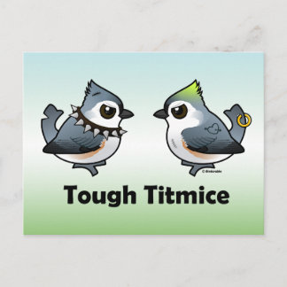 Tough Titmice Postcard