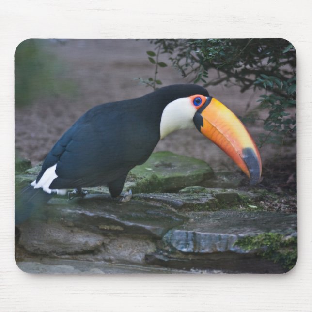 Toukan Mousepad (Front)