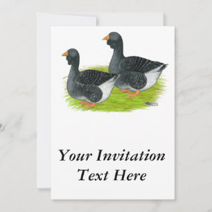 Toulouse Dewlap Geese Invitation