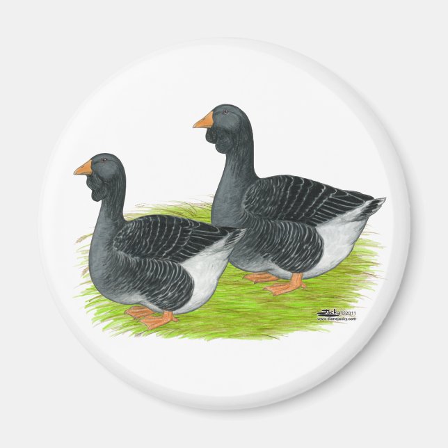Toulouse Dewlap Geese Magnet (Front)
