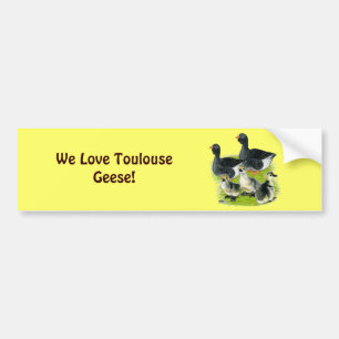 Toulouse Goose Family Bumper Sticker