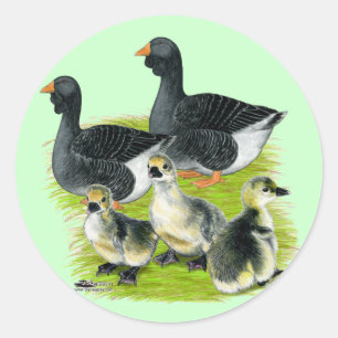 Toulouse Goose Family Classic Round Sticker