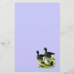Toulouse Goose Family Stationery
