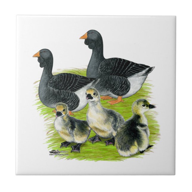 Toulouse Goose Family Tile (Front)