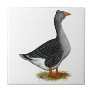 Toulouse Goose Tufted Tile