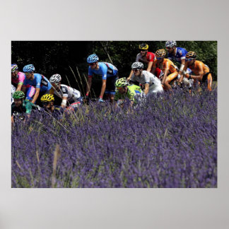 Tour de France dans les lavdes Poster