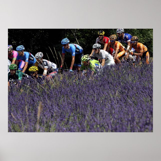Tour de France dans les lavdes Poster (Front)