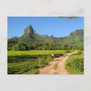 Tourist cycling on tropical Moorea postcard