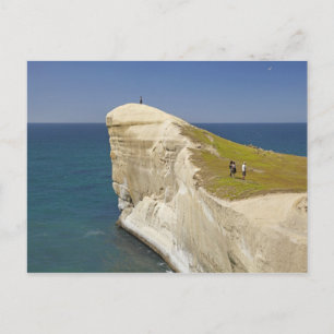 Tourists on cliff top at Tunnel Beach Postcard