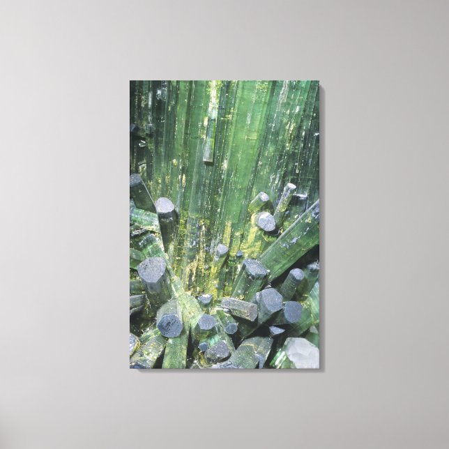 Tourmaline Elbaite crystals on Quartz Canvas Print (Front)