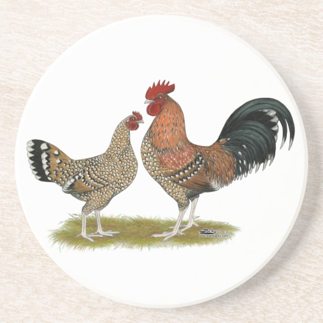 Tournaisis Bantams Coaster (Front)