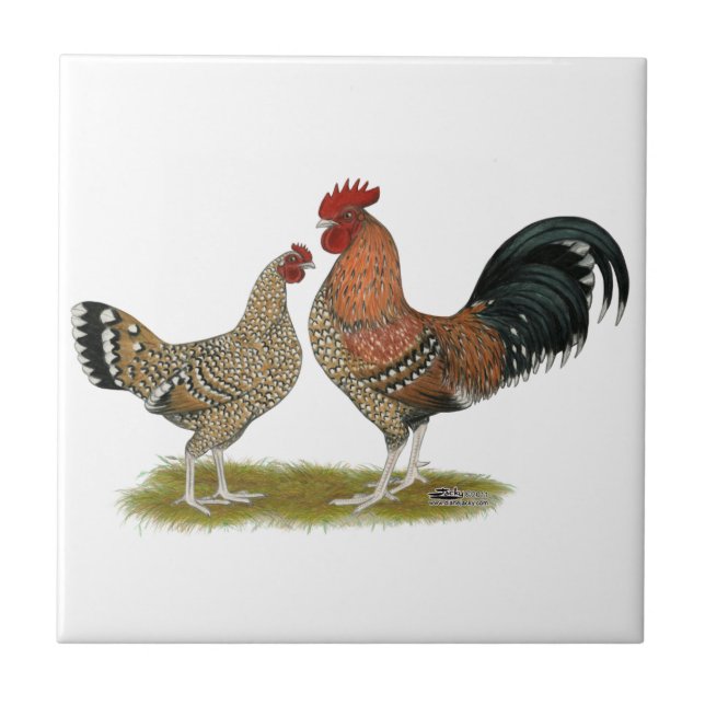 Tournaisis Bantams Tile (Front)