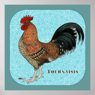 Tournaisis Rooster Poster