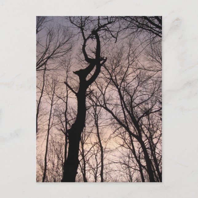 towards heaven postcard (Front)