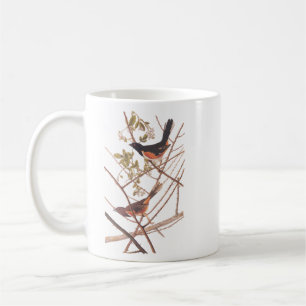 Towee Bunting Audubon Black and Orange Song Birds Coffee Mug