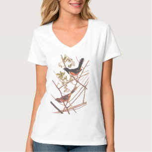 Towee Bunting Audubon Black and Orange Song Birds T-Shirt
